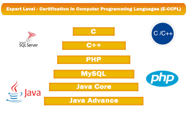 Expert Level Certification in Coumputer Programming Language