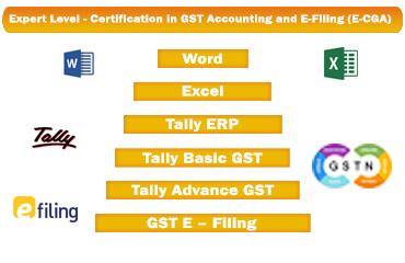 Expert Level Certification in GST Accounting and E-Filing 
