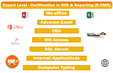 Expert Level Certification in MIS and Reporting
